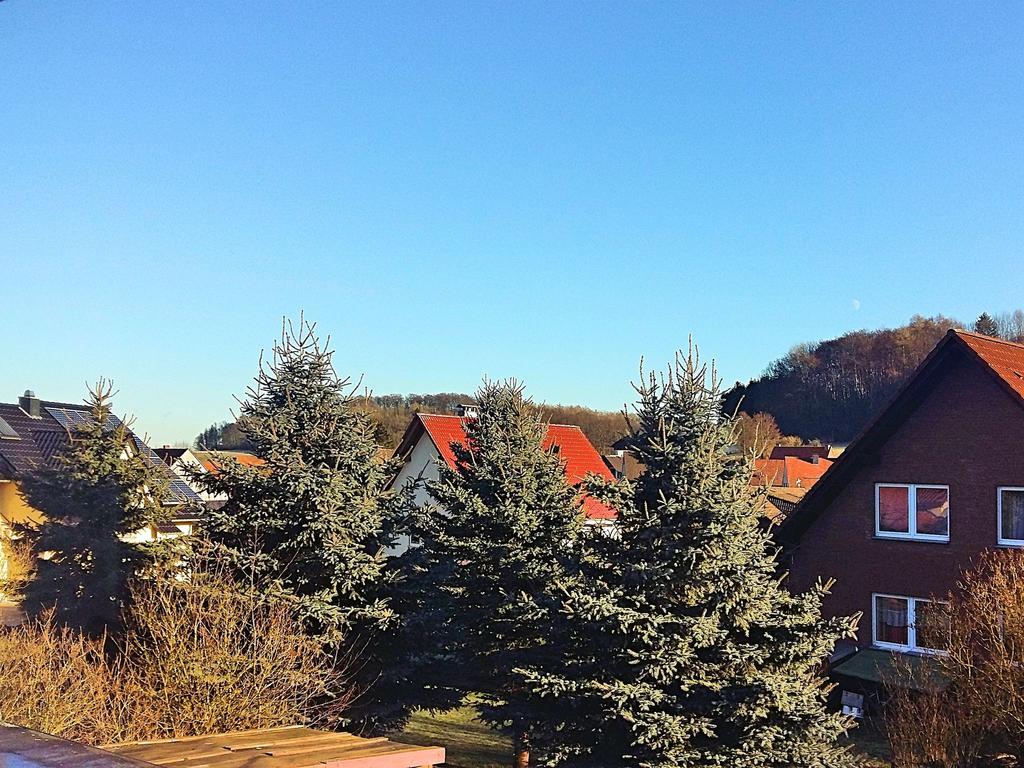 Cozy Apartment In Merlsheim With Garden Nieheim Екстериор снимка